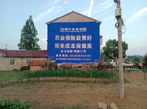 布拖墙体广告为何受追捧？